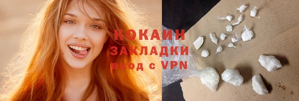 хмурый Верея