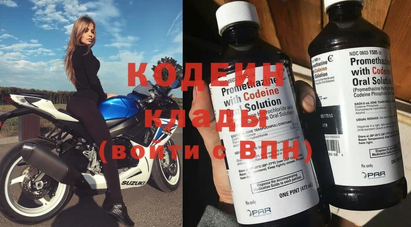 хмурый Верея