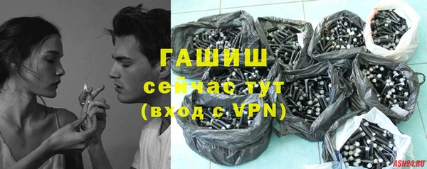 хмурый Верея