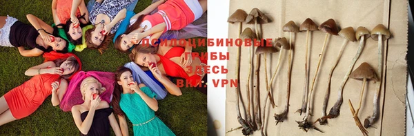 дурь Верхний Тагил
