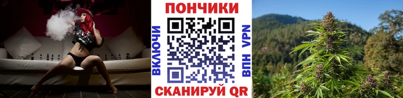 где купить   Верхняя Пышма  ссылка на мегу   Канабис Ganja 
